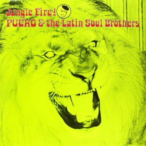 Jungle Fire! cover art