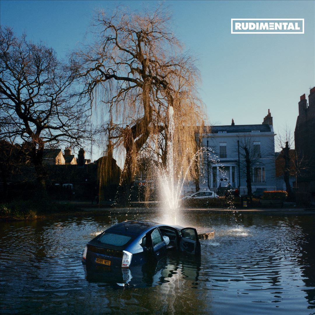 RUDIM3NTAL cover art