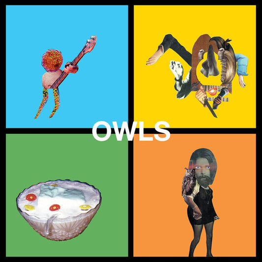Owls cover art