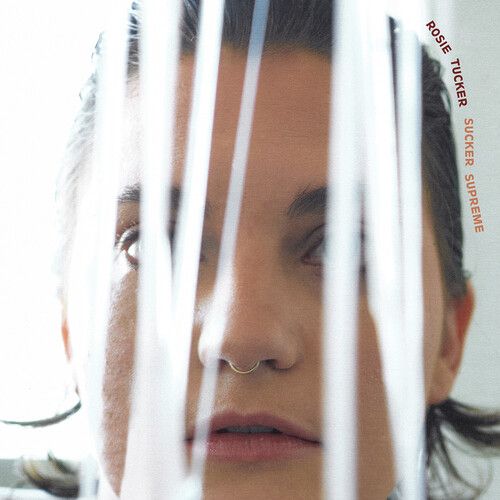 Sucker Supreme cover art