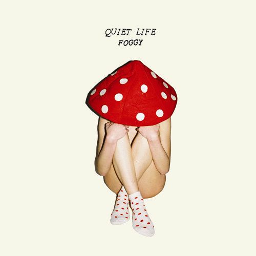 Foggy cover art
