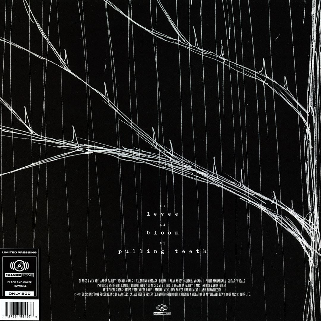 Bloom cover art