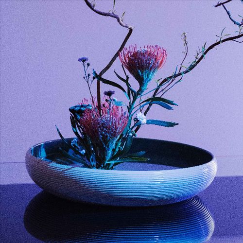 Walls, Corridors, Baffles cover art