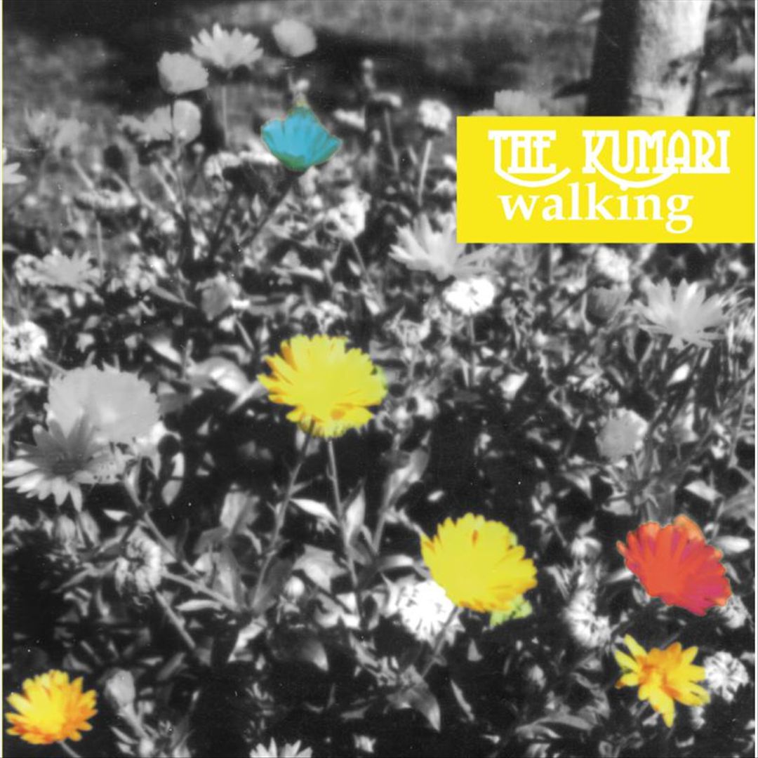 Walking cover art