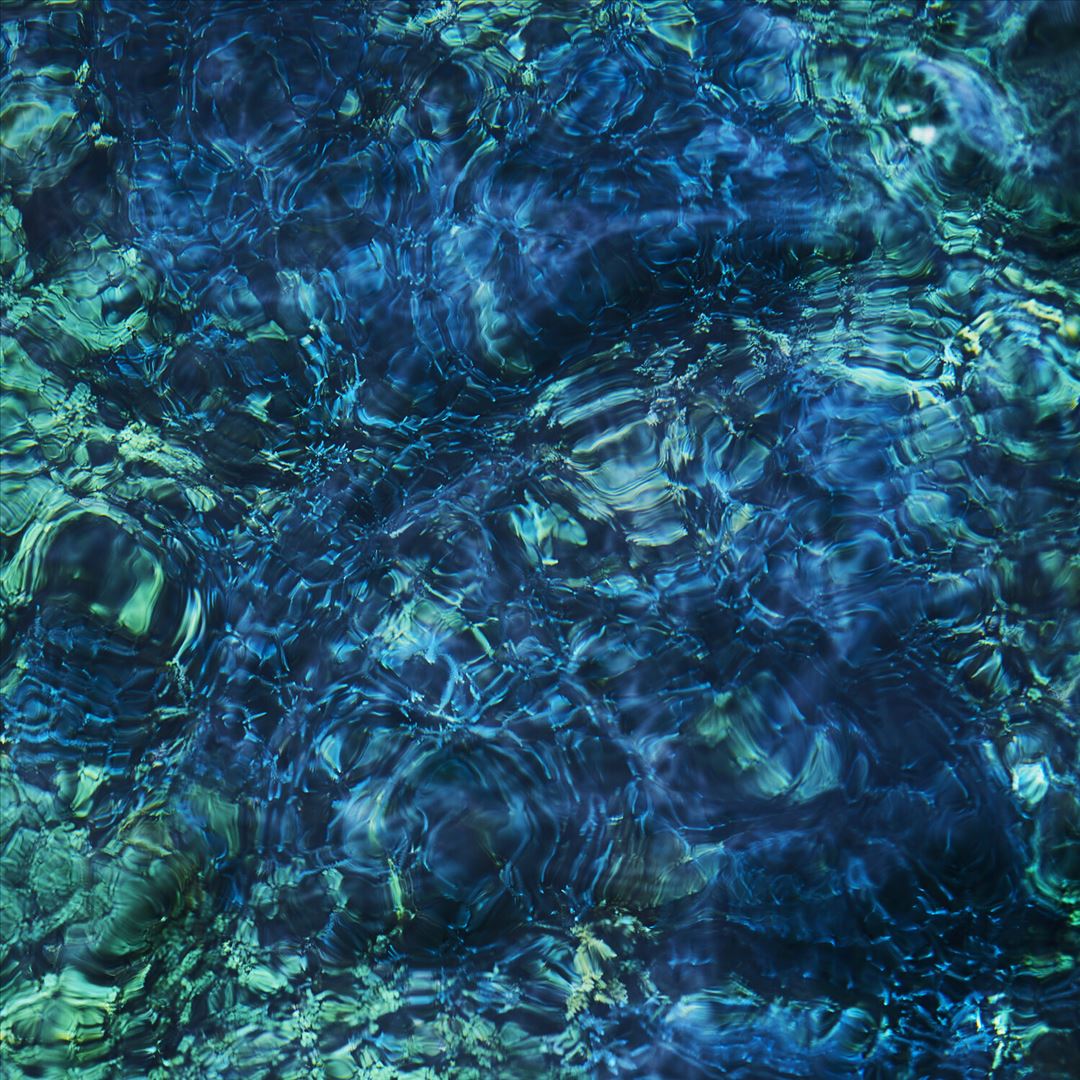 Luminescent Creatures cover art