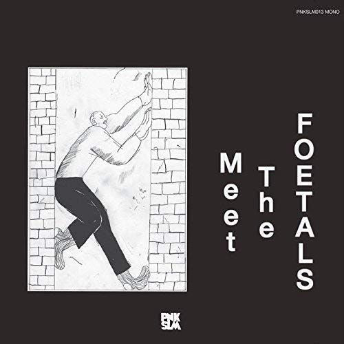 Meet the Foetals cover art