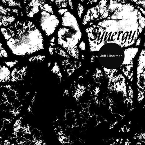 Synergy cover art