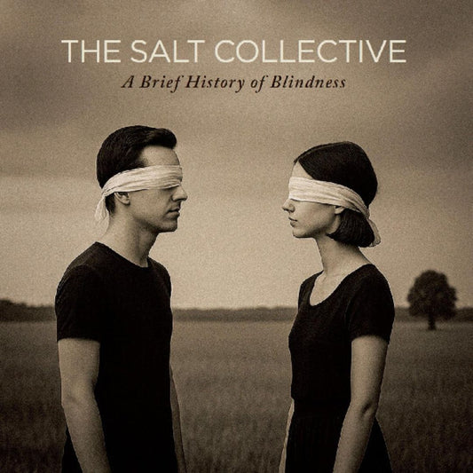 Brief History of Blindness cover art