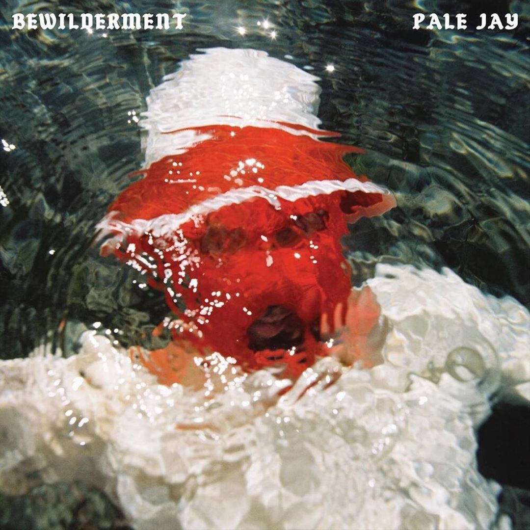 Bewilderment cover art