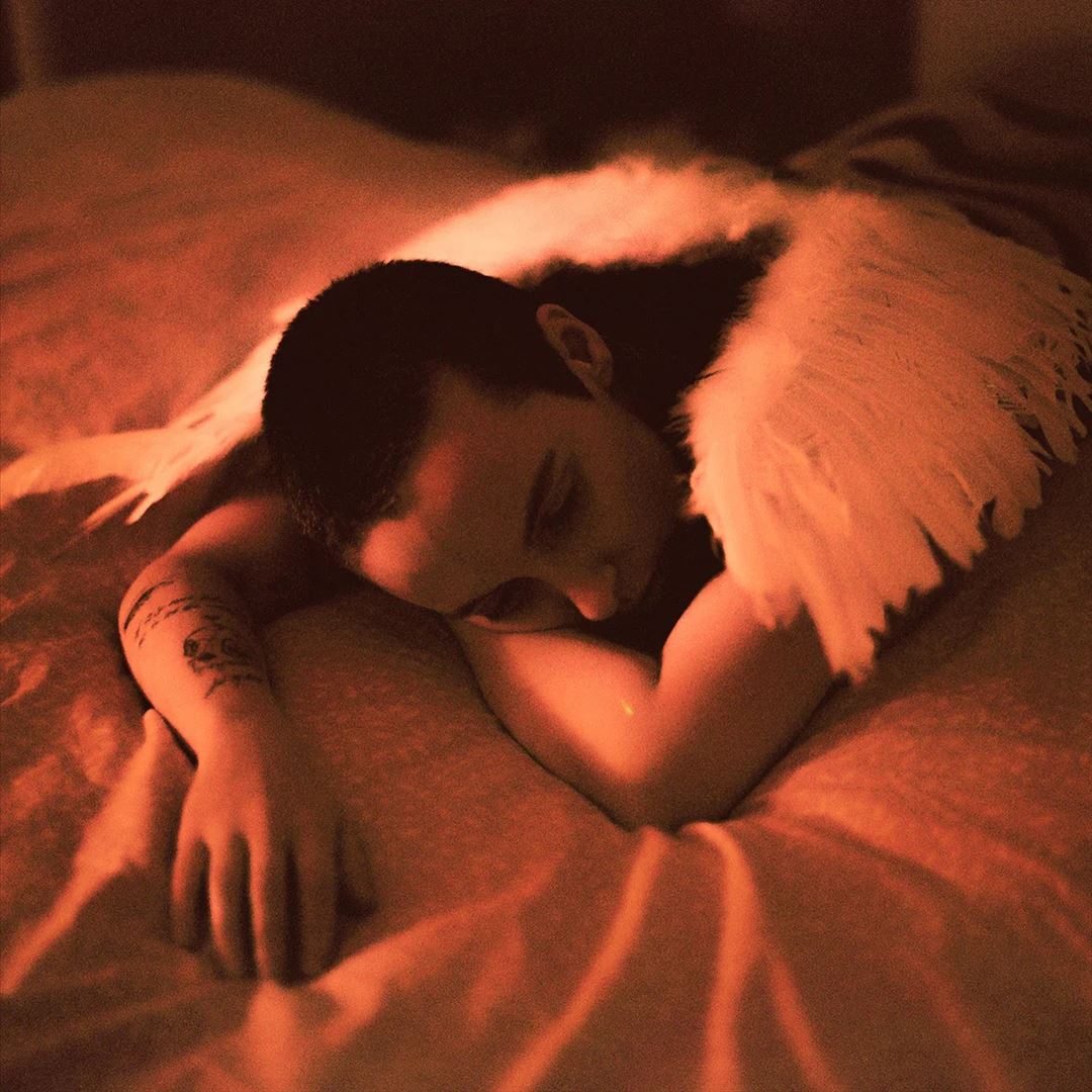 Midnight Butterflies cover art