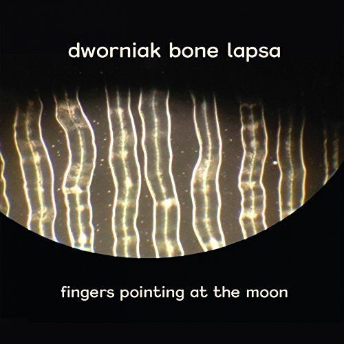 Fingers Pointing at the Moon cover art