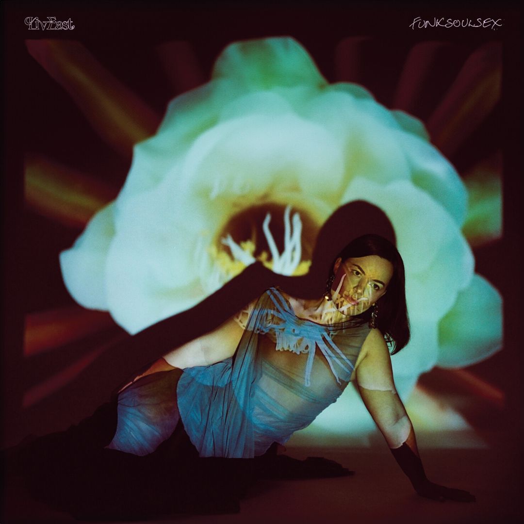 Funksoulsex cover art