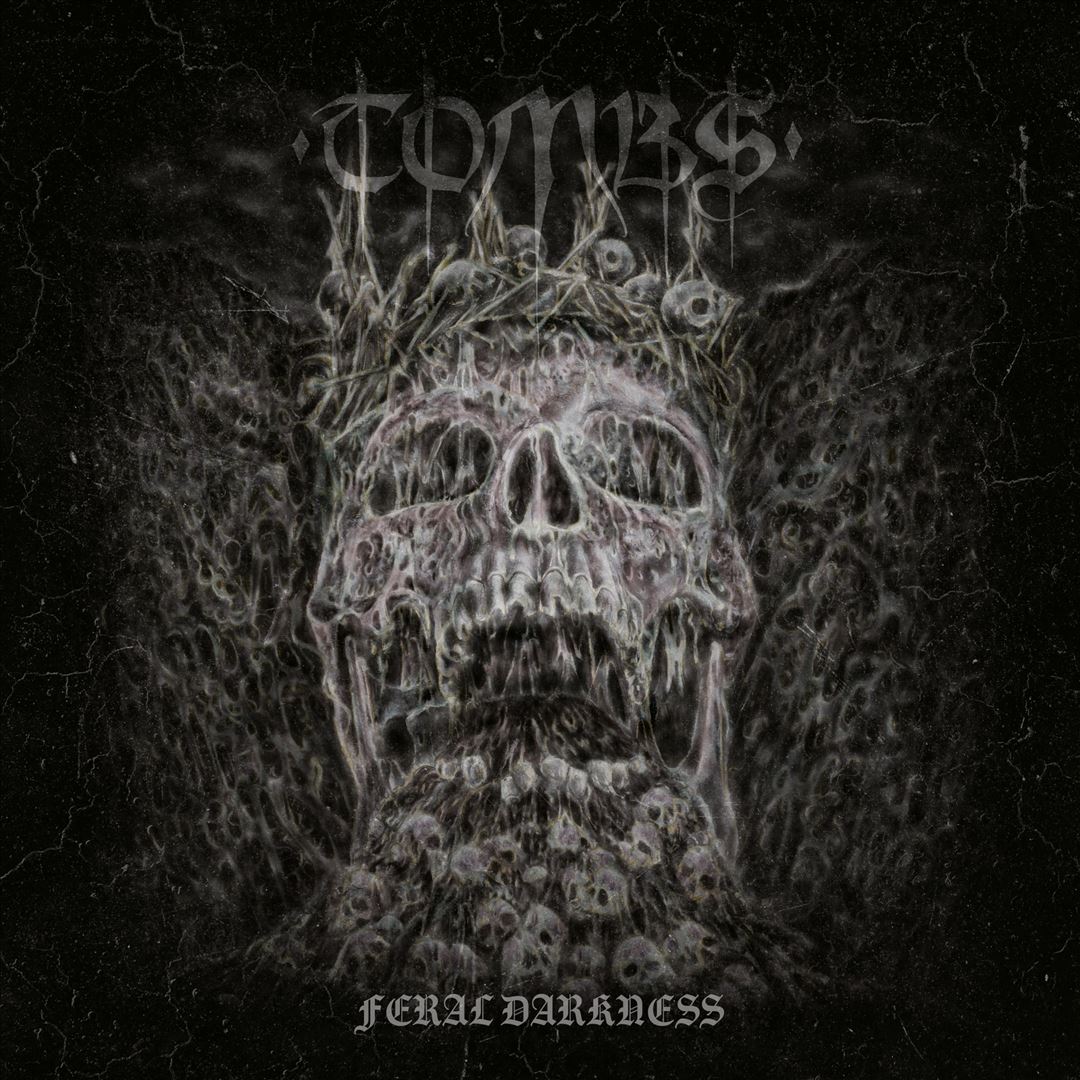 Feral Darkness cover art