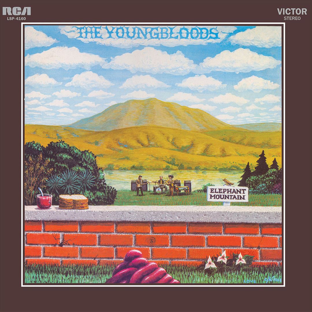 Elephant Mountain cover art
