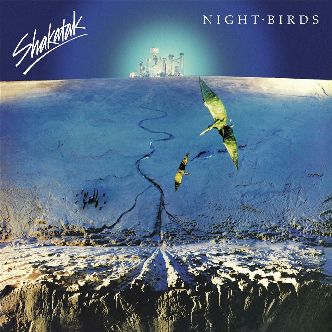 Night Birds cover art