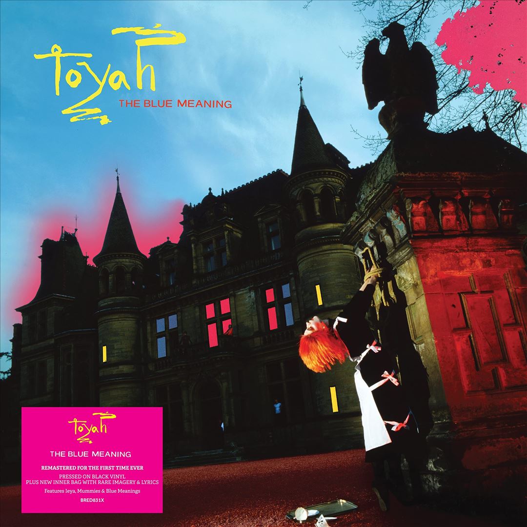 The Blue Meaning: Black Vinyl Edition cover art