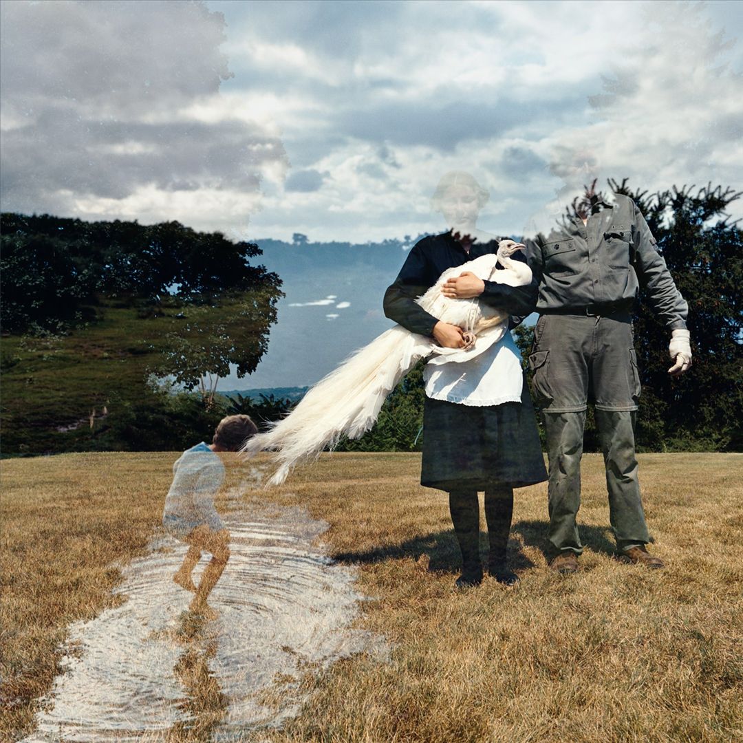 Treatment cover art