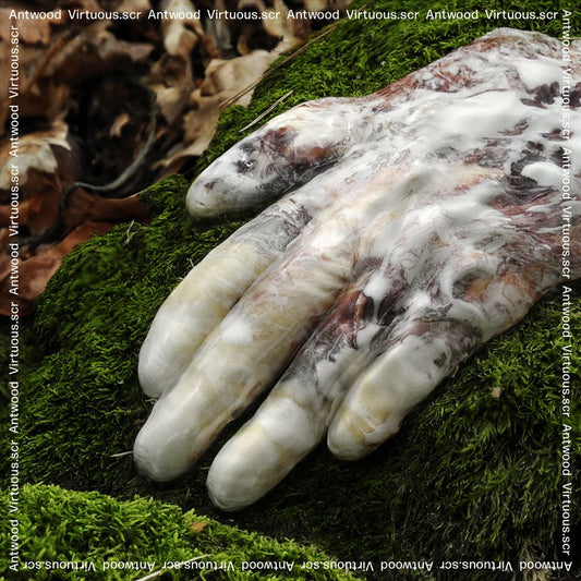 Virtuous.scr [LP] cover art