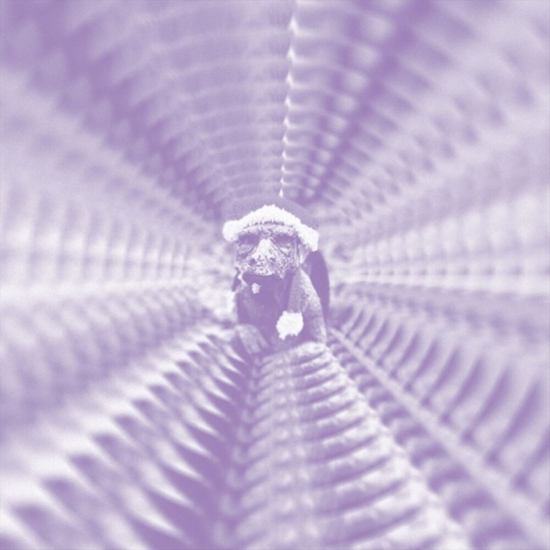 To Keyi Toko Zonga cover art