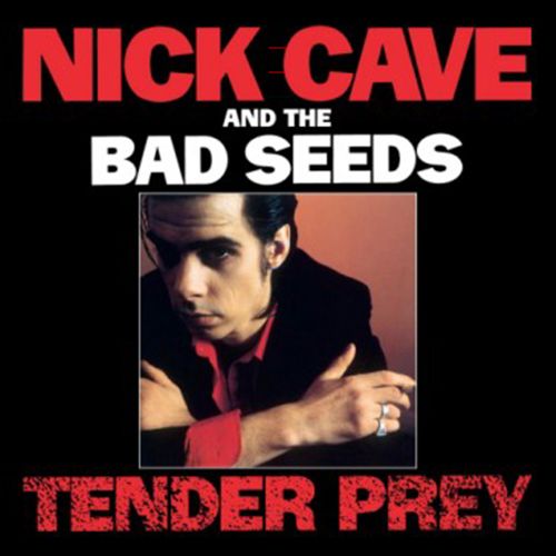 Tender Prey cover art