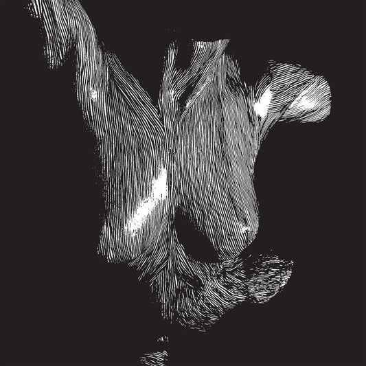 Self Preserved While the Bodies Float Up cover art