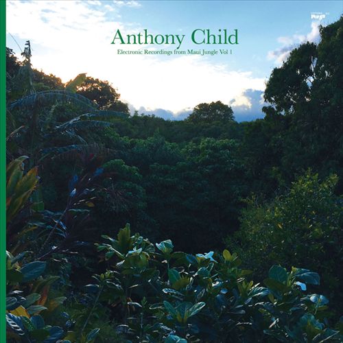 Electronic Recordings from Maui Jungle, Vol. 1 cover art