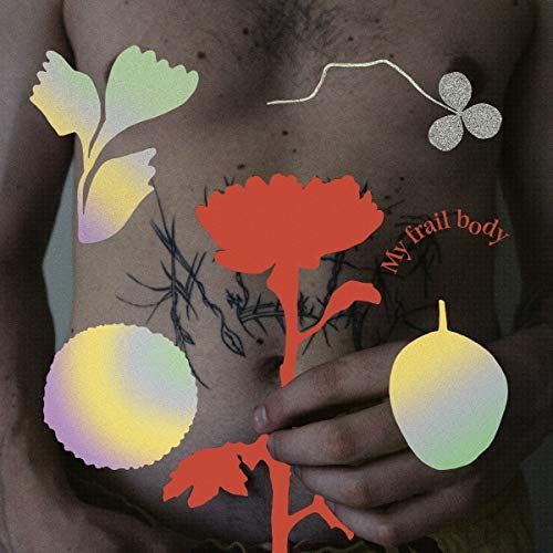 My Frail Body cover art