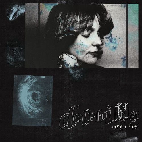 Dolphine cover art