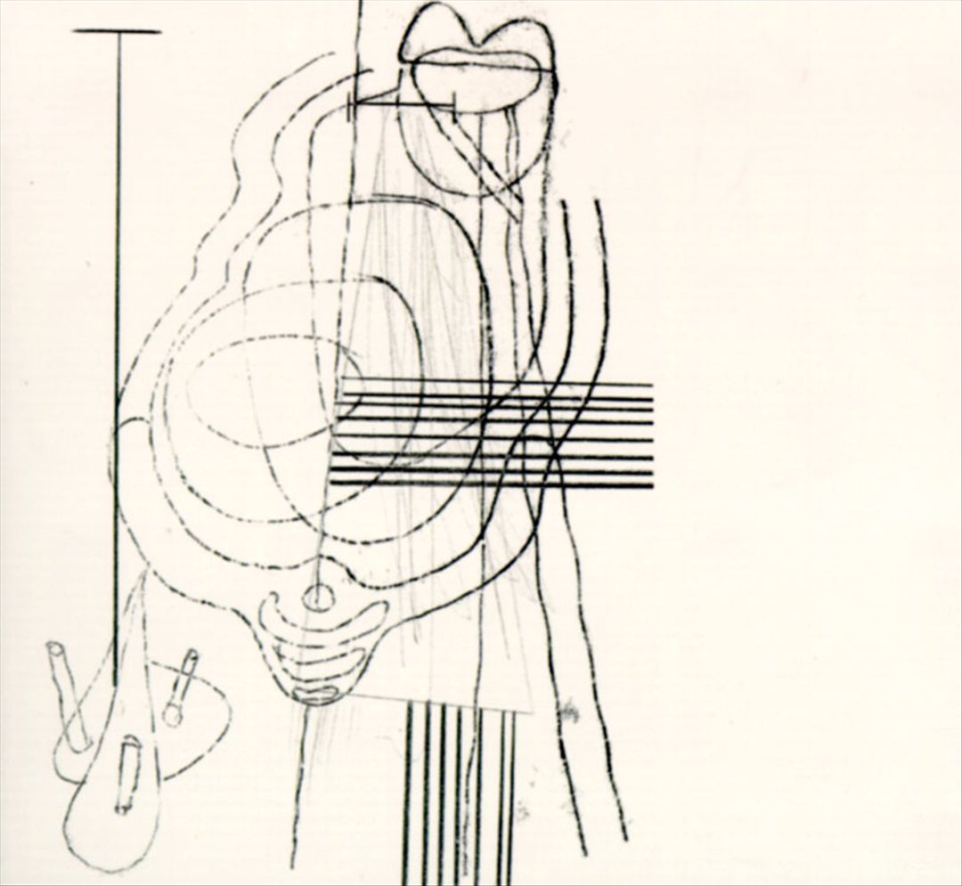 Camoufleur cover art