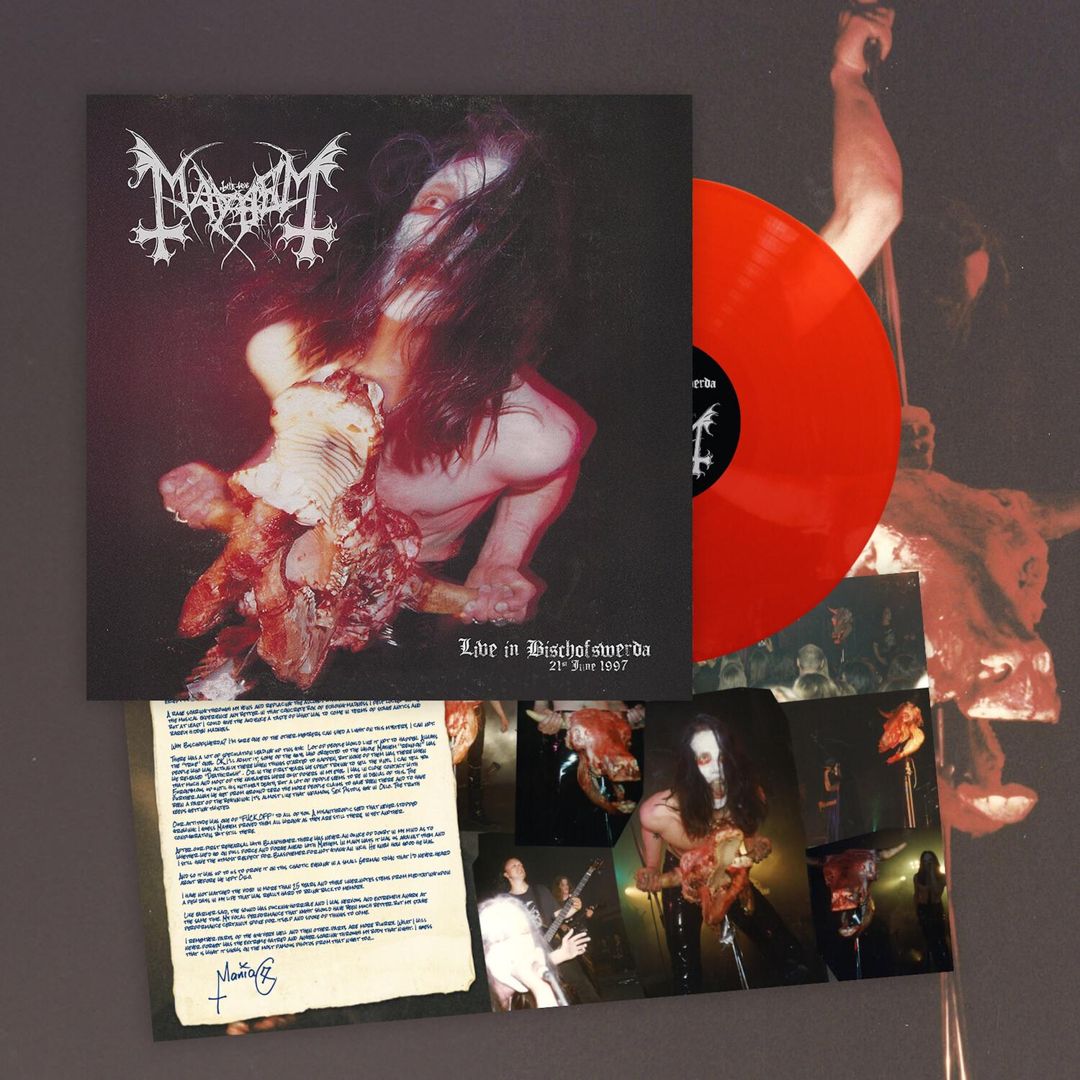 Live in Bischofswerda cover art