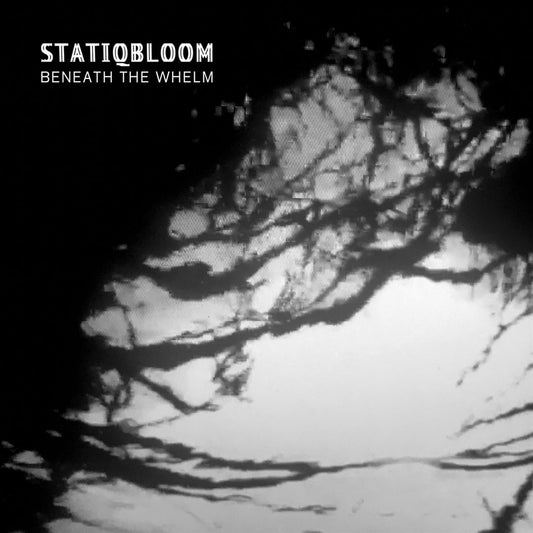 Beneath the Whelm cover art
