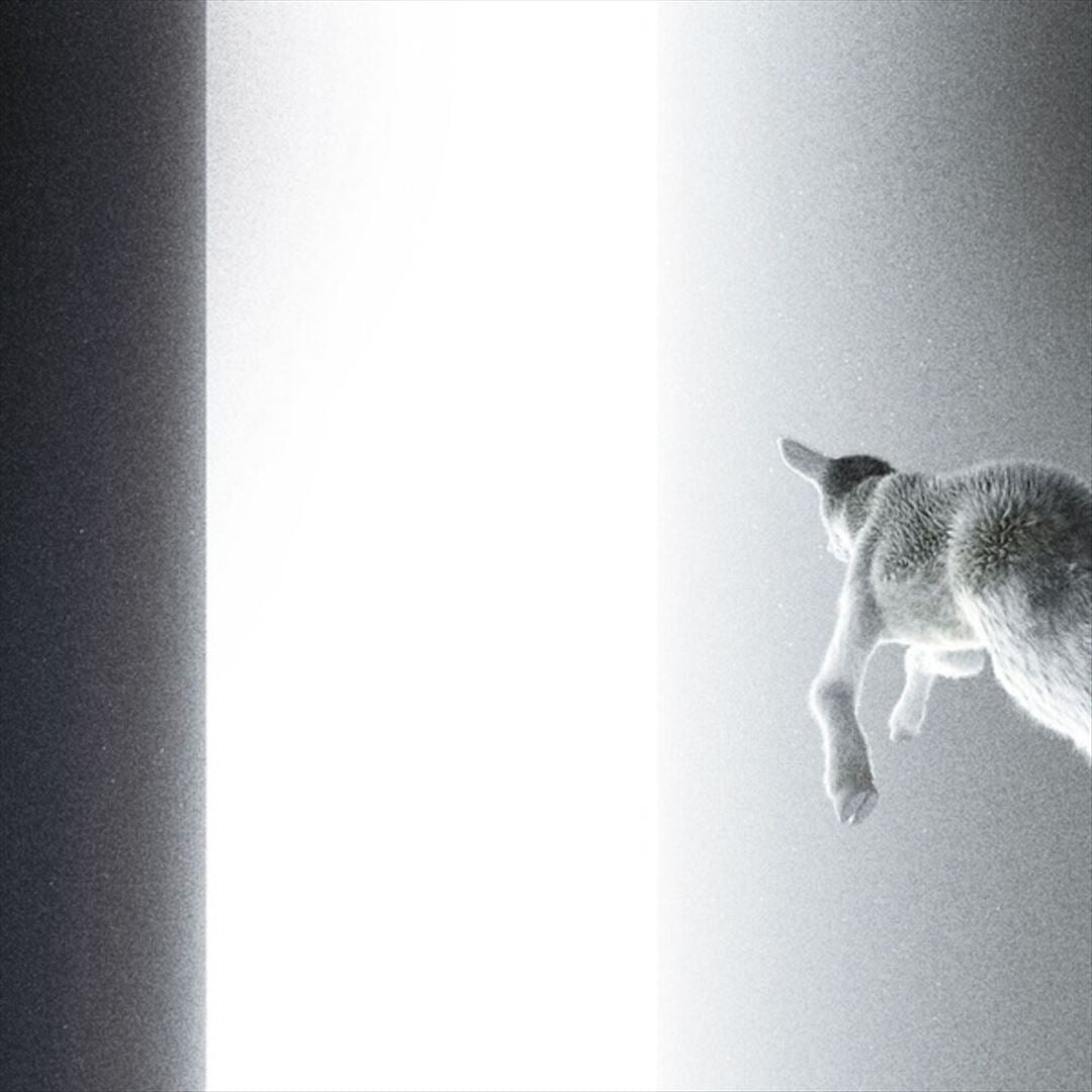 Keep Looking Where the Light Comes From cover art