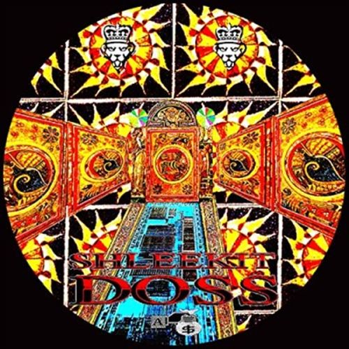 Shleekit Doss cover art