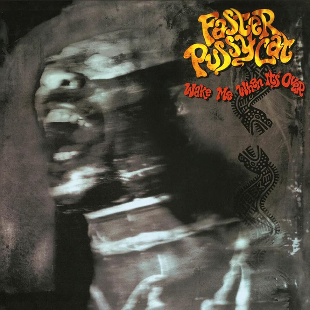 Wake Me When It's Over cover art