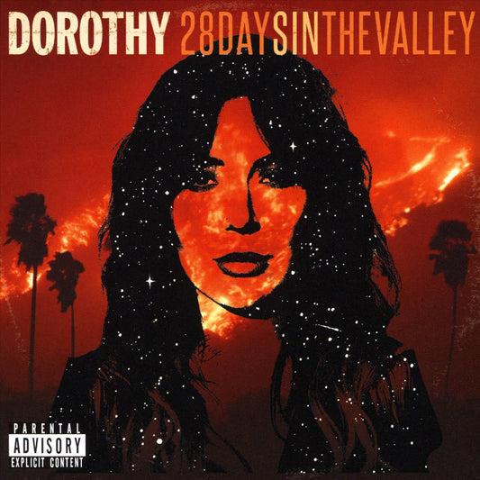 28 Days in the Valley cover art