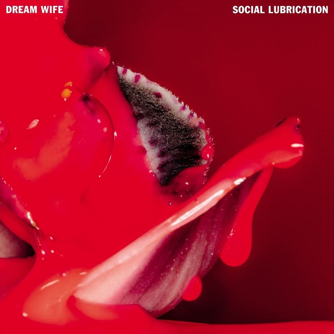Social Lubrication cover art