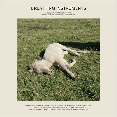 Breathing Instruments cover art