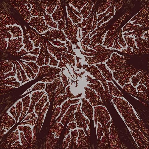 Crown Shyness cover art