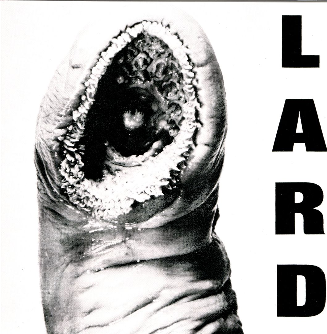 Power of Lard [EP] cover art