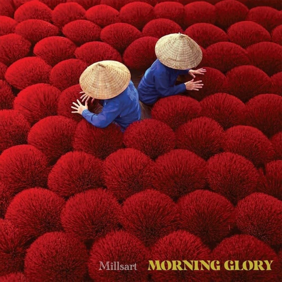 Morning Glory cover art
