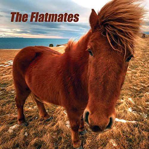 Flatmates cover art