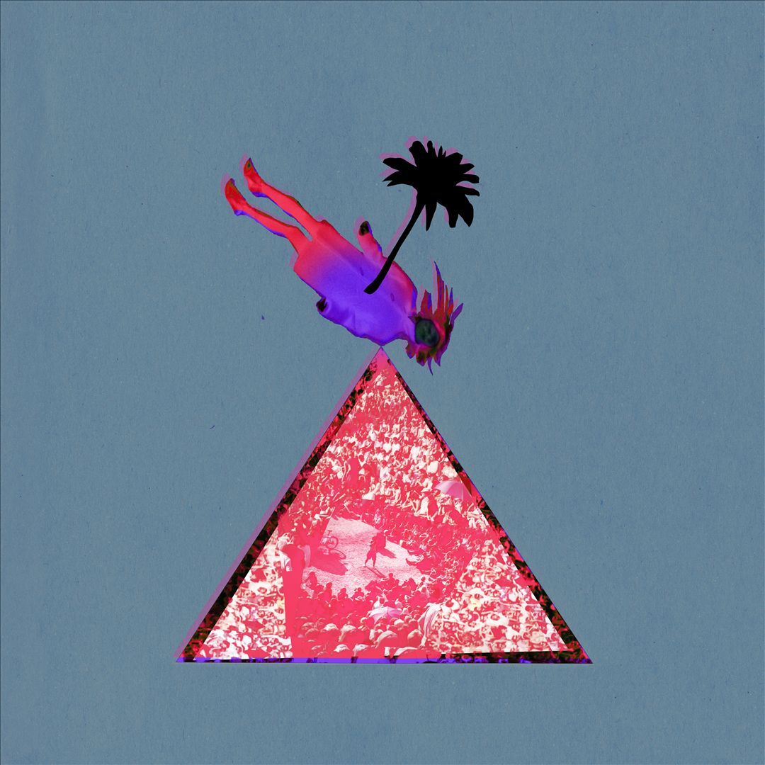 Melt Yourself Down [Limited Edition LP+CD] cover art