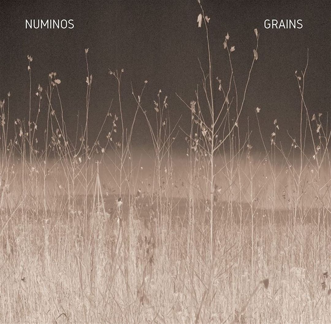 Grains cover art