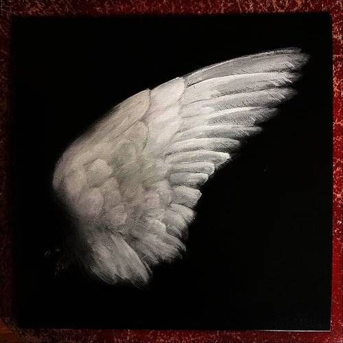 Dissimulation cover art