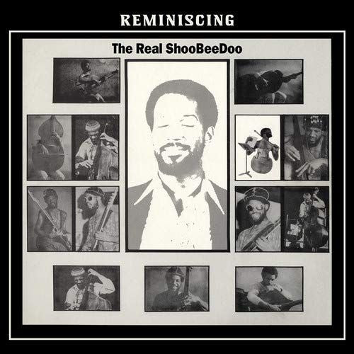 Reminiscing cover art