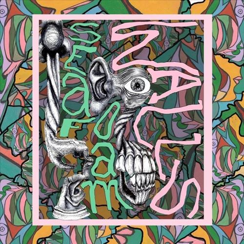 XVI cover art