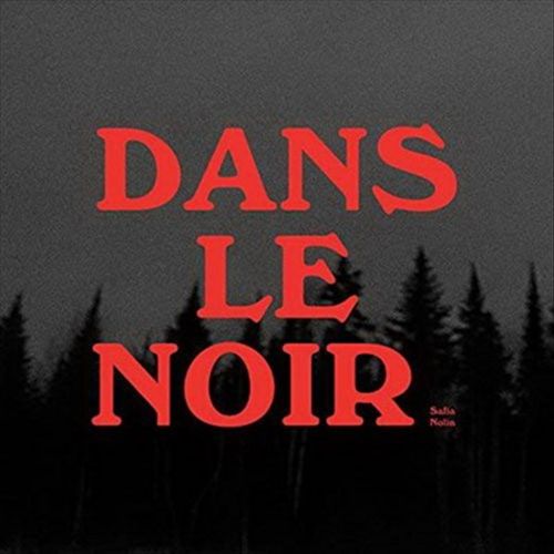 Dans le noir cover art