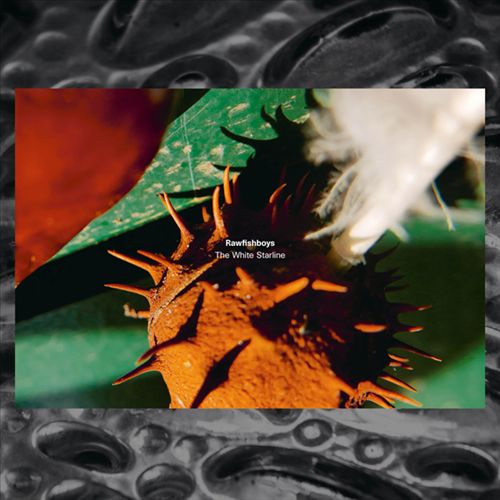 The White Starline [LP] cover art