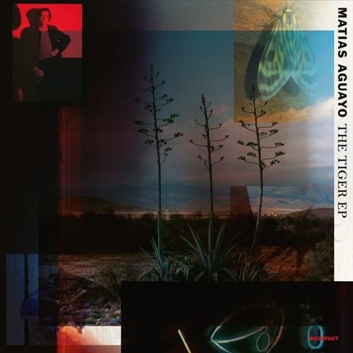 Tiger cover art