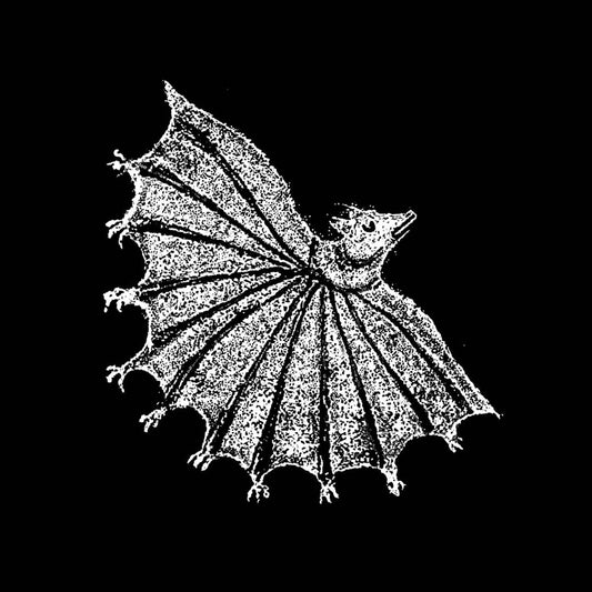 Ignore Grief cover art